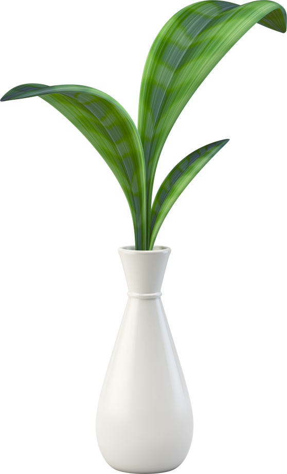 Green plant in white vase